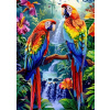 NORIMPEX Diamantové maľovanie Papagáje pri vodopáde 30x40cm