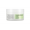 COSRX Zklidňující pleťový krém Centella Blemish Cream (30 g)