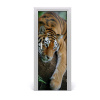 Samolepiace fototapety na dvere tiger na strome 75x205