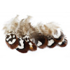 Perie Troutline Bažant Reeves Venery Pheasant Body Hackle