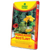 AGRO PRIMAFLORA substrát pre izbové rastliny 5 l