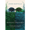 The Singularities - John Banville