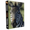 Karton P+P A4 Jumbo Zebra KT8-76923