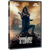 Čarodějnice a lovec DVD