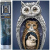 Norimpex Diamantové maľovanie Sova v sove 40x30cm