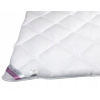 Perina, paplón - Topcotton Quilt 200 x 180 cm (Anti -allergická prikrývka 180x200 Happy Maxx Winter)