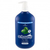 Schauma Men Classic šampón 750 ml