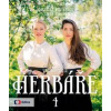 Vaříme podle Herbáře 4 - Wintrová, Linda Rybová Kateřina