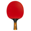 JOOLA raketa CARBON CONTROL