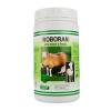 Roboran pre ovce a kozy plv 1 kg