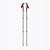 Trekingové palice Black Diamond Pursuit Trekking charcoal / octane 140 cm