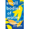 Small Bodies of Water