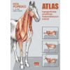 Atlas topografickej anatómie hospodárskych zvierat I. - III. diel (Peter Popesko - vyd. Príroda)