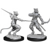 Dungeons & Dragons Nolzur's Marvelous Miniatures - Male Tabaxi Rogue 2-pack, 4 cm