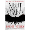 Night Angel Nemesis