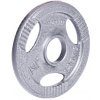 Insportline Liatinový kotúč Hamerton 1,25 kg 30 mm