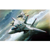 Academy Grumman F-14 Tomcat 1:144