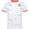 Pánsky športový dres na hádzanú Puma, CZECH HANDBALL JERSEY M AWAY biela,mix,modrá S