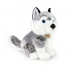 Rappa Plyšový pes husky sediaci 30 cm ECO-FRIENDLY
