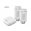 iGET HOME TS10 Starter kit (2x TS10 + 1x GW1) TS10 Starter kit