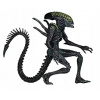 Zberateľská figurína NECA cudzincov vs predátor (Zberateľská figurína NECA cudzincov vs predátor)