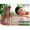 Aroma difuzer Vulcan šedé dřevo 350ml SIXTOL SX4019 + Kouzlo aromaterepie
