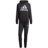 Tepláková súprava adidas Big Logo Terry Track Suit M IJ8555