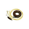 ELECTREX G14 vinutie alternátora (stator) BMW F 650 / Aprilia Pegaso 650, Honda XL600V '87-'99, XRV650 '88-'89, VF11