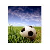 DIMEX | Vliesová fototapeta na stenu Futbalová lopta MS-3-0305 | 225 x 250 cm | zelená, modrá, biela, čierna + Vliesová fototapeta na stenu DIMEX Futbalová lopta MS30305 v rozmere 225 x 250 cm