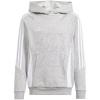 adidas Tiro 24 Hooded Sweat Jr IR7505