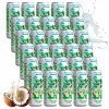 NEPERLIVÁ PRÍRODNÁ KOKOSOVÁ VODA COCONAUT 320 ML Z MLADÉHO KOKOSU