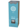 HOT Shiatsu Delay - sprej na oddialenie ejakulácie pre mužov (15 ml)