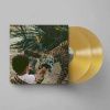 2LP Unknown Mortal Orchestra: V LTD | CLR