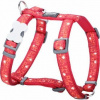 Red Dingo postroj Swiss Cross