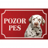 Dalmatínsky pes - Kovová tabuľka POZOR PES