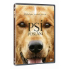 Psí poslání - DVD