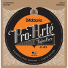 D'Addario EJ43