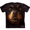 Rottweiler Face - The Mountain XL