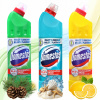 Domestos tekuté čistenie WC 2,25 l