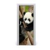 Samolepiace fototapety na dvere Panda na strome 75x205