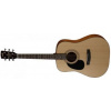 Cort AD 810 LH