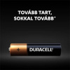 Duracell Basic AAA 10 ks 42328