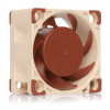 NOCTUA Ventilátor NF-A4x20-5V-PWM, 40mm, hnědá (NF-A4x20-5V-PWM)