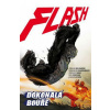 Flash 7 Dokonalá bouře