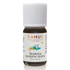 HANUS Škorica kasiová silica 10 ml