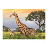 Dino Žirafia rodina 1000 dielov