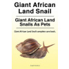 Giant African Land Snail. Giant African Land Snails as pets. Giant African Land Snail complete care book.