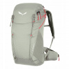 Salewa Alp Trainer 20 Wsl sivá