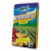 Agro NPK hnojivo pro brambory 5 kg