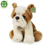 Rappa Plyšový pes buldog, 26 cm